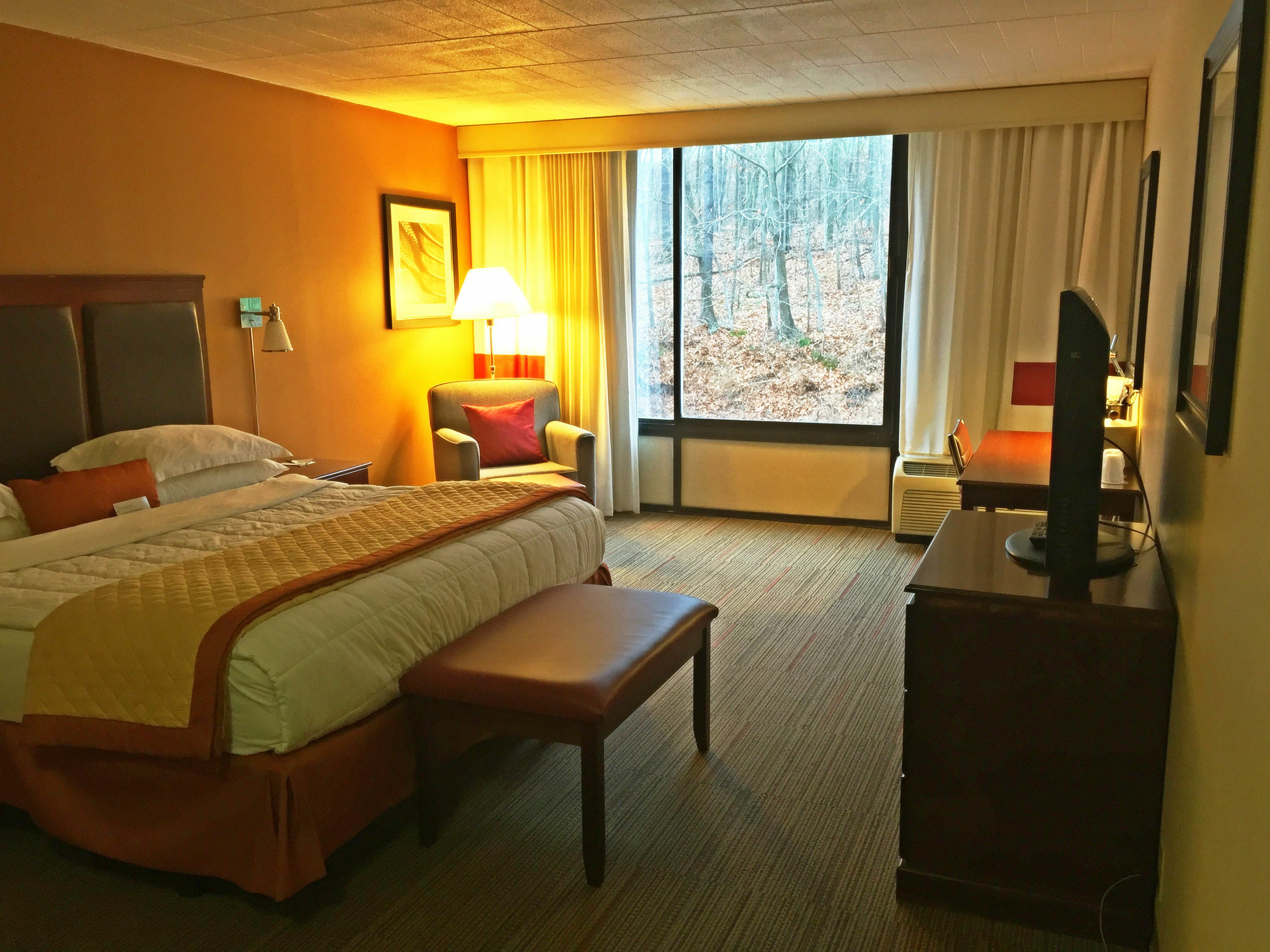 Robinson Township Wyndham Garden Inn Pittsburgh Airport מראה חיצוני תמונה